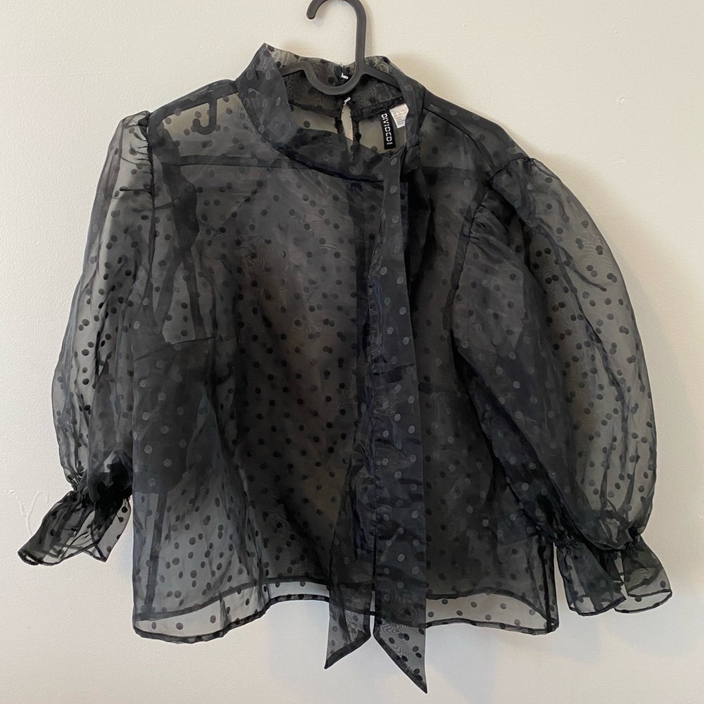 H&M Sheer Top